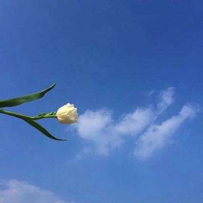 封神觉醒手游破解版下载